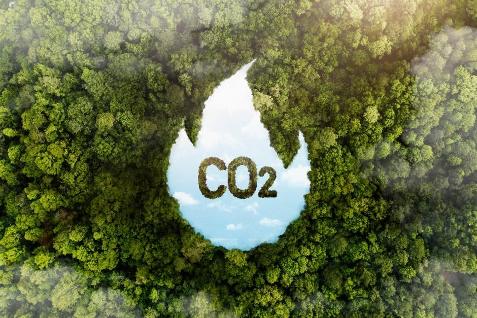 Tech Companies Impact on Climate Change: Understanding Their Contribution