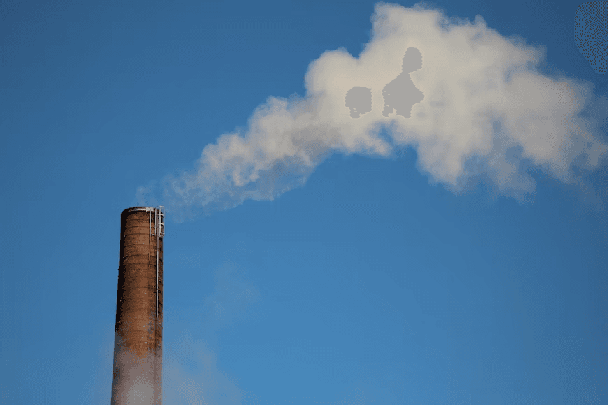 Carbon Projects and Their Contribution to Sustainable Development Goals