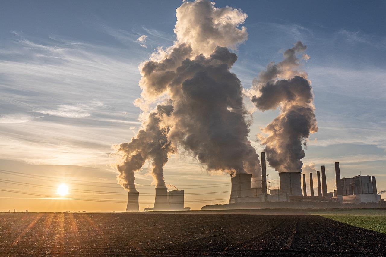 Essential Carbon offset terms you should know