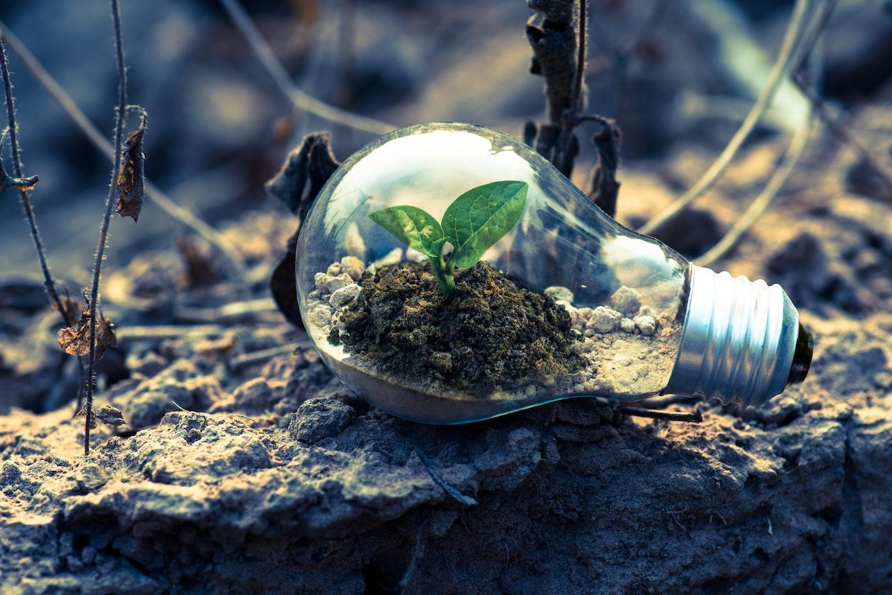 Carbon Credits Demystified: Guide to Implementation and Function
