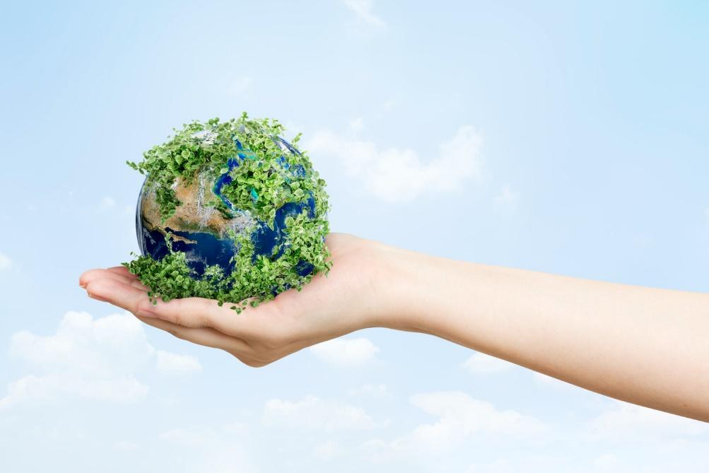 Selecting Effective Carbon Projects: An Evaluation for Corporations