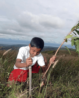 Honduras Restoration Project
