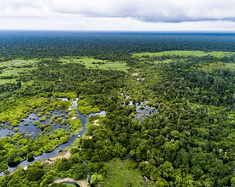 Katingan Mentaya