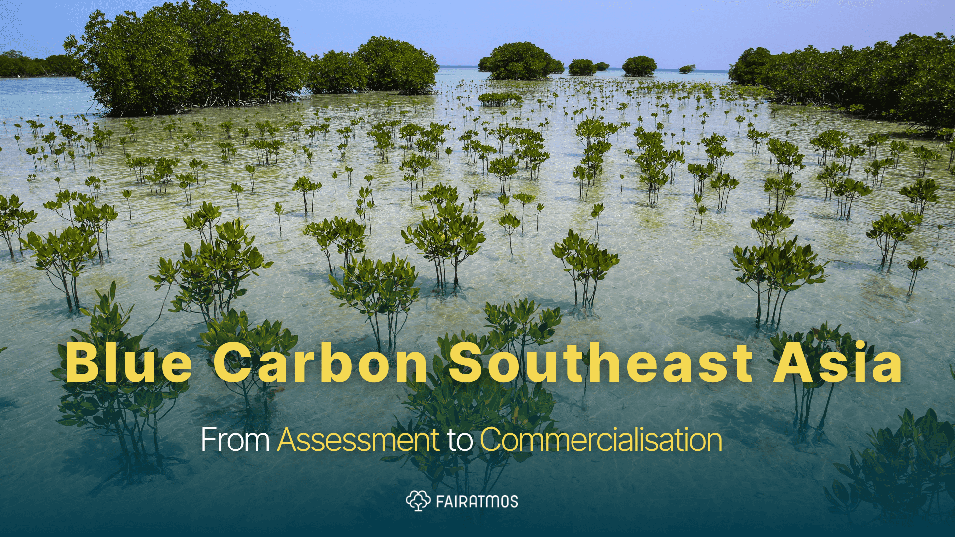 Blue Carbon Southeast Asia: From Assessment to Commercialisation