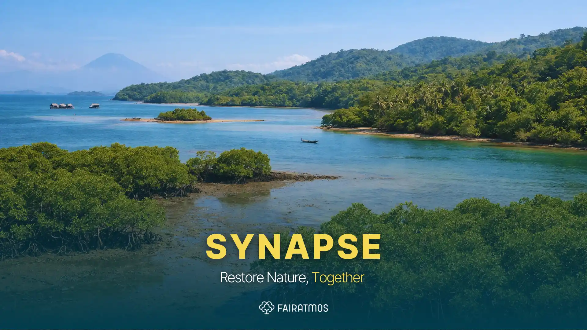 The Blue-Green MergingTipping Point: Why Indonesia’s Restoration Must Go Beyond the Canopy